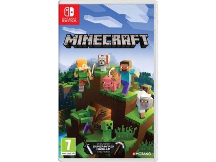 SWITCH minecraft
