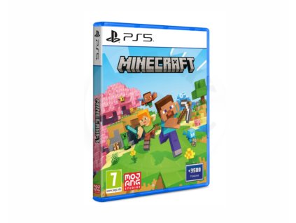 PS5 Minecraft