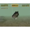 Wii Big Catch: Bass Fishing