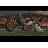 Wii golden compass