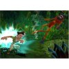 Wii Pitfall The Big Adventure