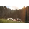 PS4 The Crew - bazar