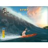 Wii Surfs Up - bazar
