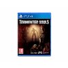 PS4 Tormented souls