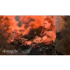 PS4 Horizon: Zero Dawn - bazar