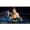 PS4 Creed Rise to Glory – boxerská VR hra