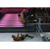 XBOX 360 WWE SmackDown vs. Raw 2008 High Flyer Edition