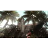 XBOX 360 Far Cry 2