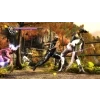 PS3 Ninja Gaiden Sigma – akční ninja hra