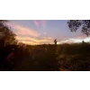 PS5 The Texas Chain Saw Massacre