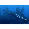 XBOX 360 Tomb Raider: Underworld