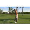 PS3 Tiger Woods PGA Tour 12 golfista švih na hřišti