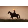 XBOX ONE Red Dead Redemption 2 – westernová adventura